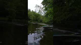 Traxxas Blast Boat 2S #rc #traxxas #traxxasblast #phonk #rcboat