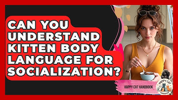 Can You Understand Kitten Body Language For Socialization? - Happy Cat Handbook