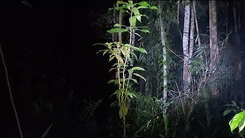 LIBE CARI KUNTILANAK DI BUKIT INDANG !!