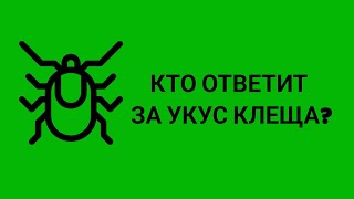 Укусил клещ в туре. Ответственность туроператора или туриста? ваше мнение