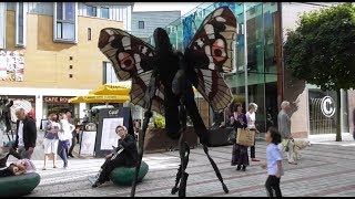 Butterflies on stilts - street art in Exeter UK