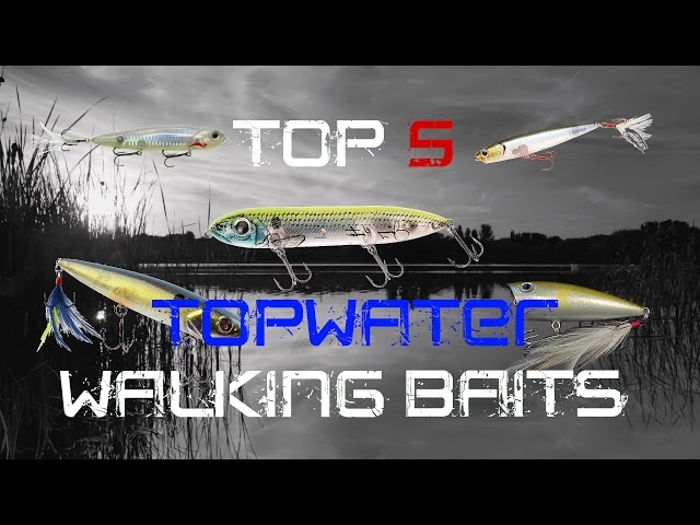 How to Select the Right Topwater Lure - Bass Fishing Tips 