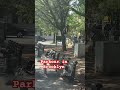 Parkour flips in Williamsburg