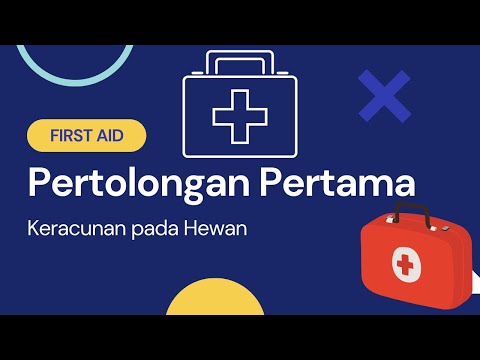 Video: Keracunan Bracken Pada Kuda