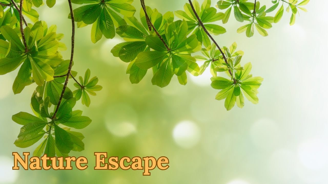 Nature Escape 🌿 Deep Relaxing Music & Calming Nature Sounds for Sleep, Stress Relief & Inner Peace