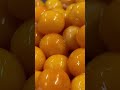 行列のできるおにぎり専門店 ぼんご 卵黄肉そぼろ