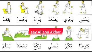 الأفعال الدرس الأول Verbs with translation in English Teaching Arabic to non native speakers 1