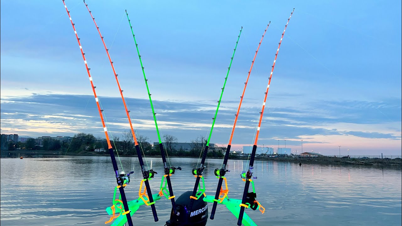 Catch the Fever with Chunky Cats Fishing Live Show! 