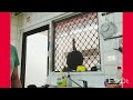 Eating vlog eating ice cream si lola nu…spend time myself..