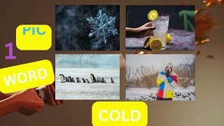 4 pic 1 word screenshot 2