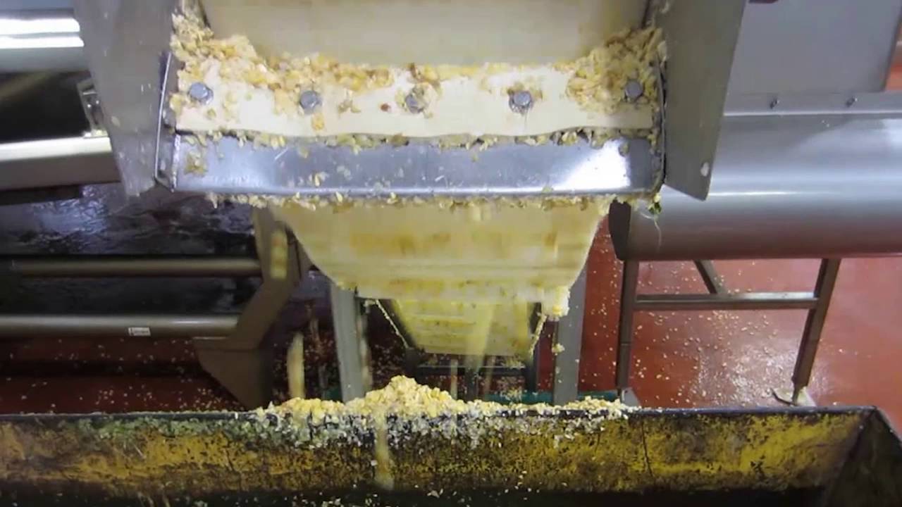 Corn sorting machine Genius - TOMRA Sorting