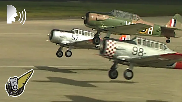 North American T-6 Texans (aka Harvards) Formation Takeoff