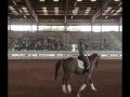 Equine institute dressage with bill woods part 2 for youtube mpeg2.