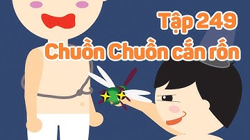 Chuồn chuồn cắn rốn - Tập 249