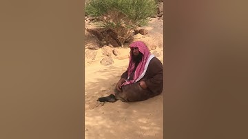 دحيم الحماد 1443ه تلاوة من سورة يس بالبر