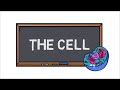 The Building Blocks of Life: Exploring Cells and Their Discoveries