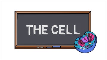 The Cell | Discovery of first Cell | Cell Theory |