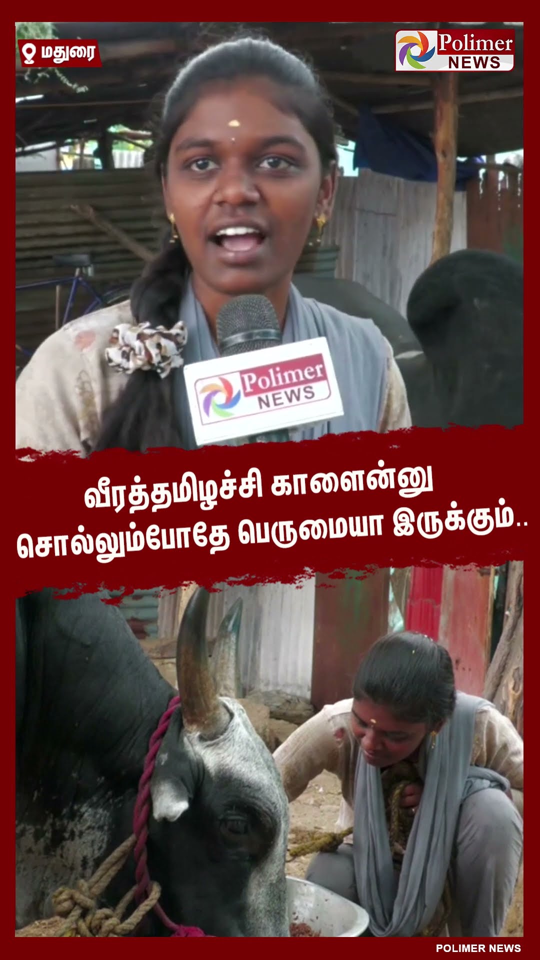 வீரத்தமிழச்சி காளைன்னு சொல்லும்போதே பெருமையா இருக்கும்.. #shorts | #jallikattu2025