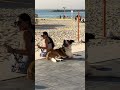 Beach Vibes & Volleyball, Tel Aviv-Yafo, Israel