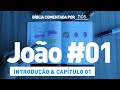 JOÃO COMENTADO POR _nós_ - dia #1 (Introdução e Capítulo 01)