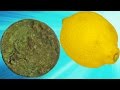 MYSTERIOUS OLD COIN REVEALED ||| The Lemon Juice Test