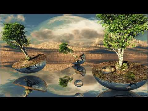 Araya — Araya - Duty Paid