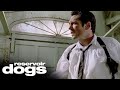 'Don't Burn Me Please' | Reservoir Dogs