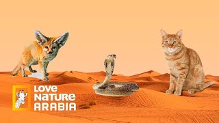 الموت قبل بزوغ الفجر : حيوانات فتاكة قاتلة تأخذ معارك دامية ضد بعضها البعض | Love Nature Arabia