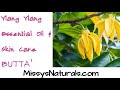 Ylang ylang essential oil and its benefits