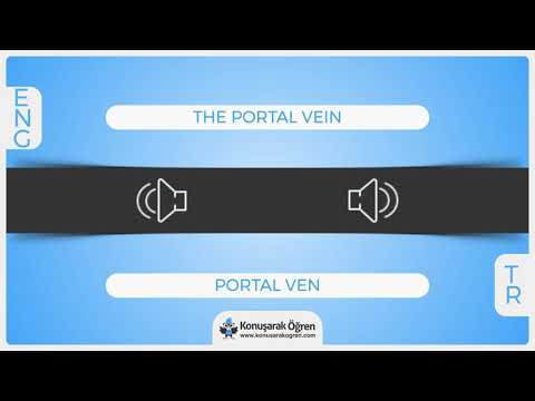 The portal vein Nedir? The portal vein İngilizce Türkçe Anlamı Ne Demek? Nasıl Okunur? Çeviri Sözlük