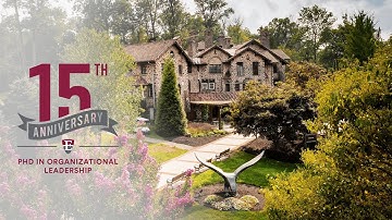 PhD in Organizational Leadership | Our Themes