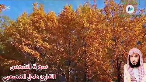 سورة الشمس القارئ عادل حسين المصعبي