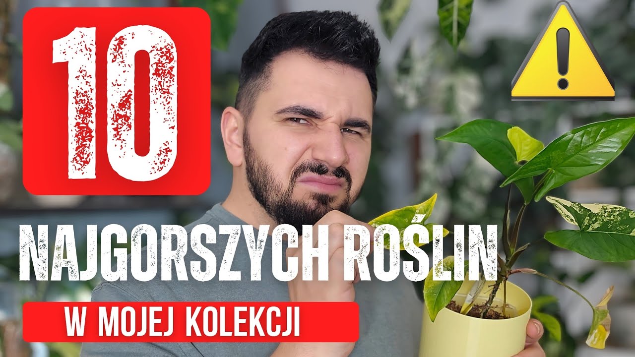 NAJGORSZE ROŚLINY W MOJEJ KOLEKCJI 🌿 TOP 10 ⚠️