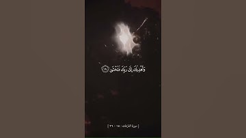 ﴿هَل أَتىٰكَ حَديثُ موسىٰ﴾ تلاوة عذبة 🤍 ."