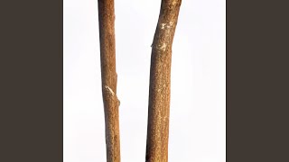 2 Sticks