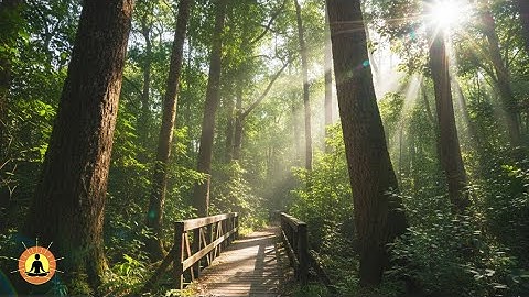 8 Hours of Deep Sleep Music (No Interrupting Ads)