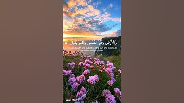 الذين صبروا وعلى ربهم يتوكلون#قرآن #سورة #عبدالرحمن_مسعد #quran #quotes#تلاوة_خاشعة