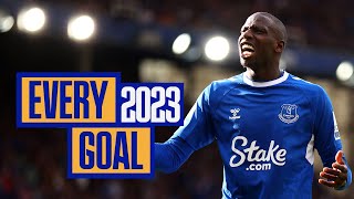 EVERY EVERTON GOAL IN 2023!