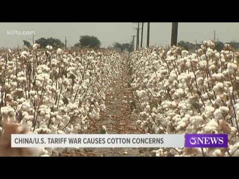 China, U.S tariff