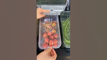 Hộp nhựa đựng thực phẩm có đáy tách nước hộp bảo quản rau củ quả trong tủ lạnh.