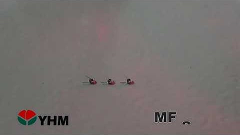 MF-603 CNC Multiple Slides Torsion Spring Machine-W.D. 0.1mm-torsion spring-170ppm- YHM