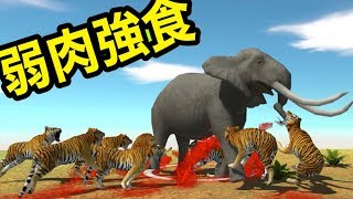 まるでゲームとは思えない動きがリアルな動物バトルシミュレーター screenshot 2