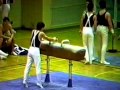 1988 lake park gymnastics