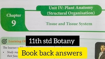 11th std Botany Unit 4 Chapter 9 Tissue and Tissue system Book back answers