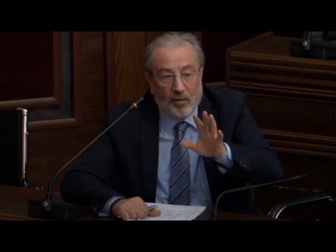 არა რუსულ კანონს -  კახა გოგოლაშვილის გამოსვლა იურიდიული კომიტეტის სხდომაზე