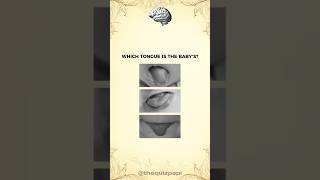 Intuition test #test