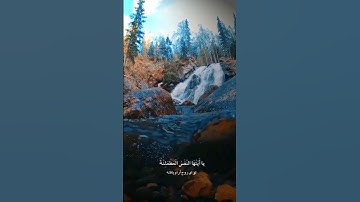 نفس مطمئنه؛ تو ای روح  آرام یافته (سوره فجر)