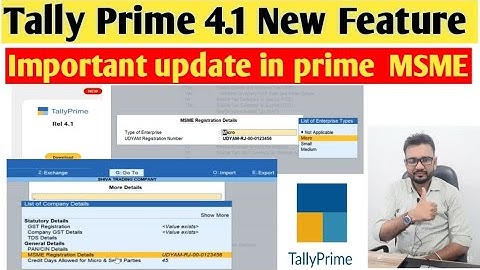 New Feature in tally prime 4.1 | Tally prime new update about MSME Reports #msme #tallyprime #tally