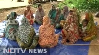 In an Odisha village, a bold conservation movement by women screenshot 2
