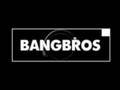 Bangbros - I engenieer